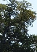 Lawrence O'Brien Obituary - Fort Lauderdale, FL