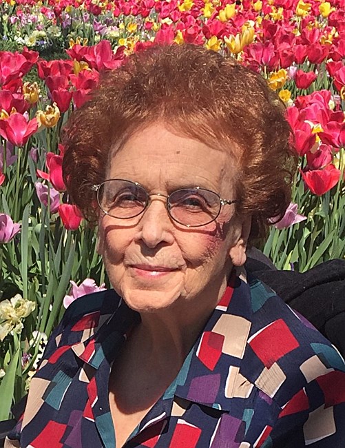 Obituary of Sylvia Lucille Collignon