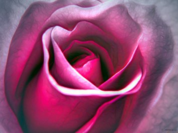 Obituary of Rita Krieger