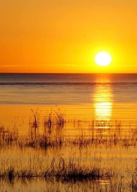 Obituary of Danny Wong