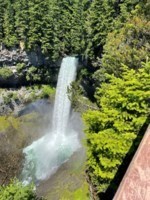 Obituary of Johnathon Willie Tom