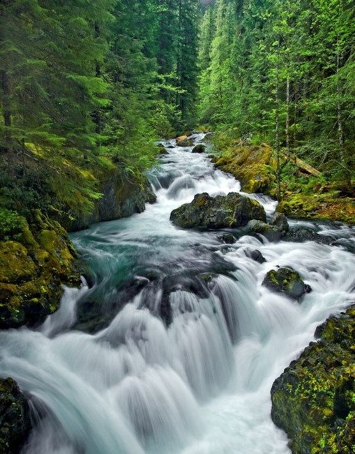 Obituary of Janis Rolene Vasquez