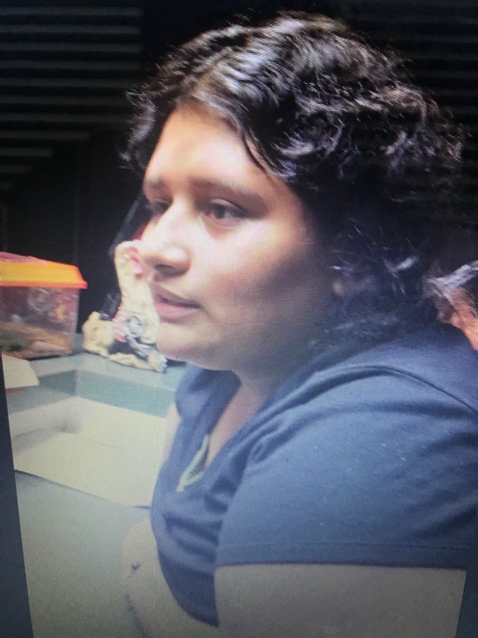 Obituary of Mayra Alejandra Alvarado