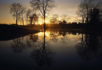 Obituary of Alice J. Granger Parsons