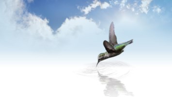 Obituary of Deborah Ann Hyder