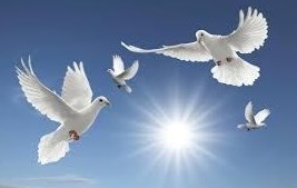 Obituary of Ouida Palmer Braddy