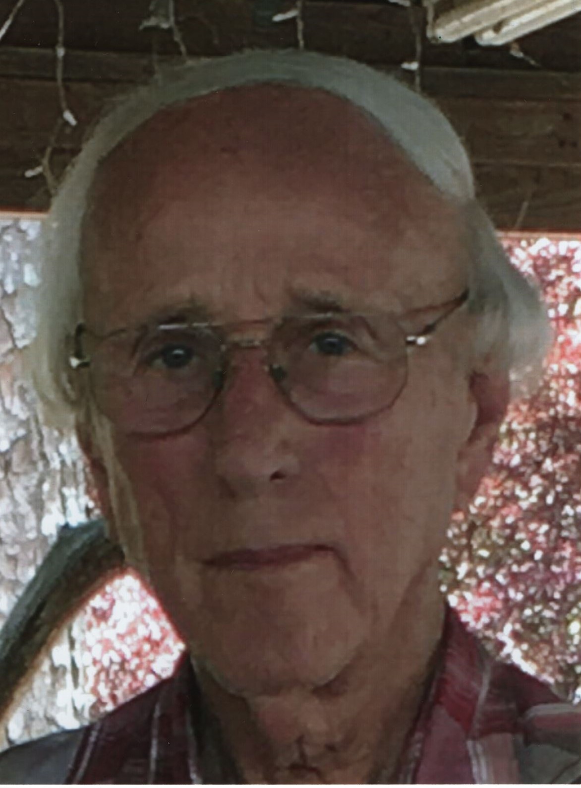 Obituary of Travis Howard Allred