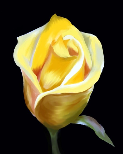 Obituary of Barbara L. Burns