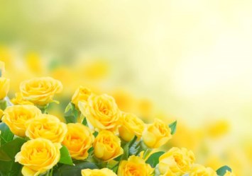 Obituary of Mary Lee Foster
