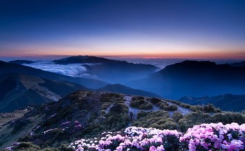 Obituary of Alice M. Pitra