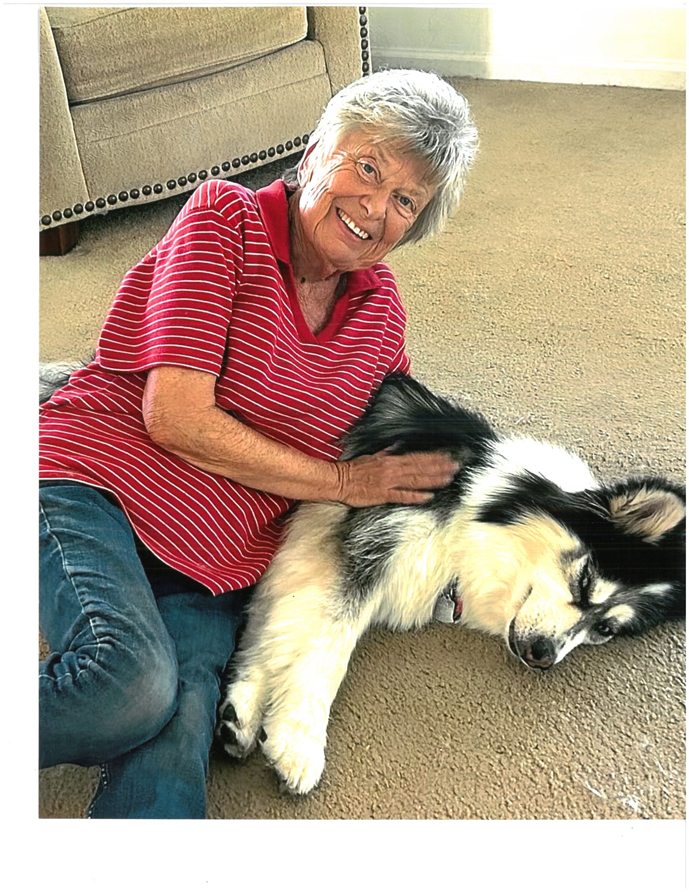 Obituary of Donna Joy Arnold