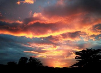 Obituary of John Michael Rippee