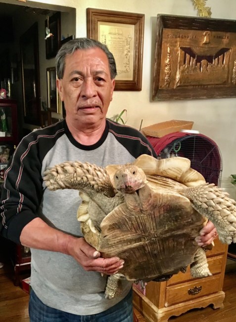 Obituary of Cruz G. Martinez