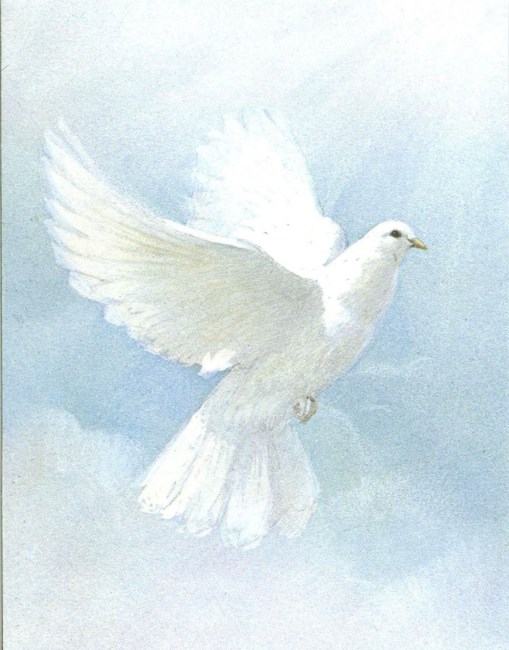 Obituario de Marva Jean Martinez