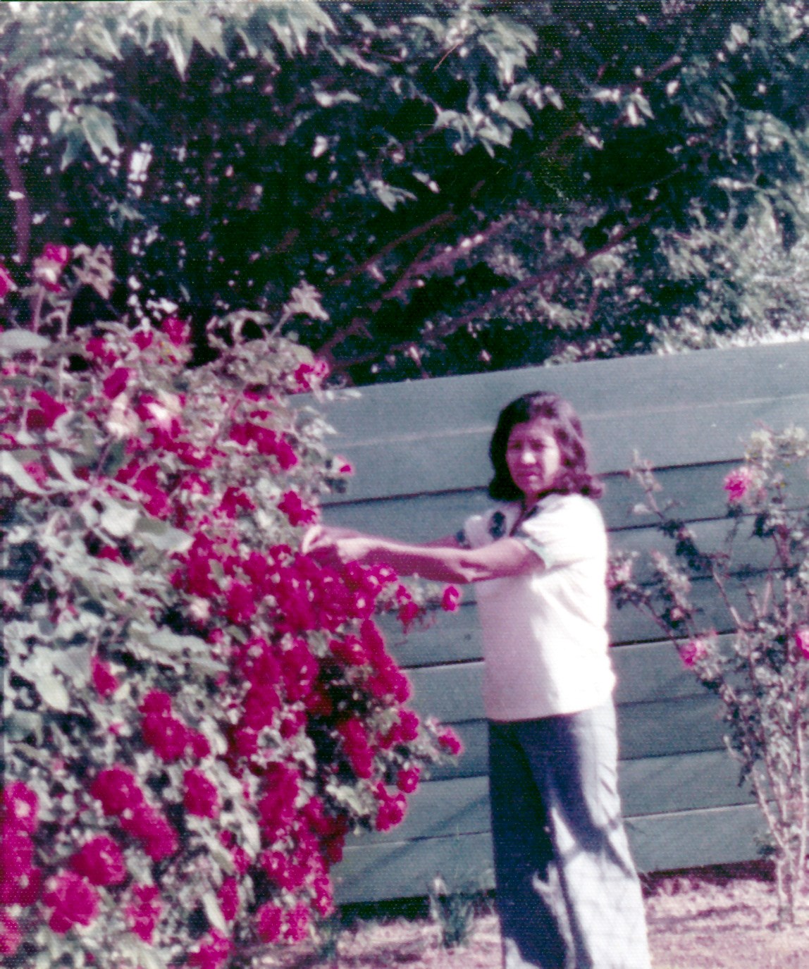 Avis de décès de Juana Maria Trejo