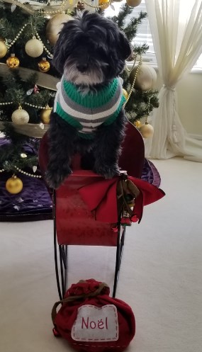 Edward Gallagher Obituary Montreal Qc