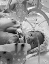 Obituary of Maddie May Adams