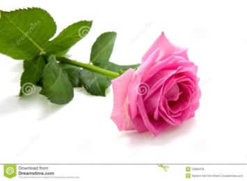 Obituary of Mary Ellen Johnson Joaquin