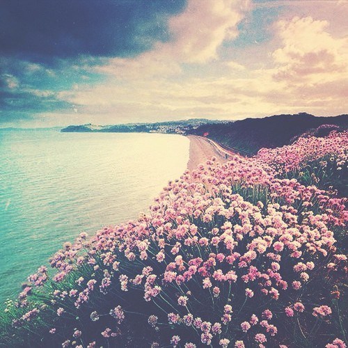 Obituary of Stephanie Auditor-Fujihara