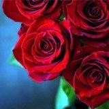 Obituary of Sheila Courtney