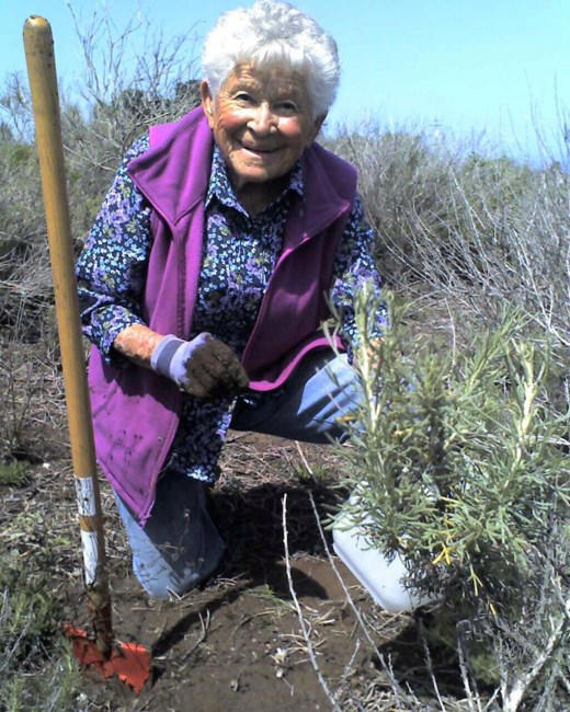 Obituario de Mary Louis Haworth