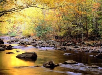 Obituary of Donald Lamar Griffin