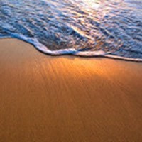 Obituary of Taylor Andrew Goodall