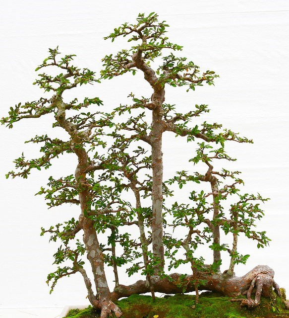 Obituary of George E Hammer