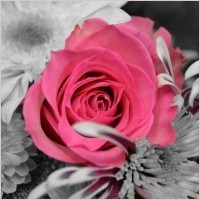 Obituary of Faye Lee Hall