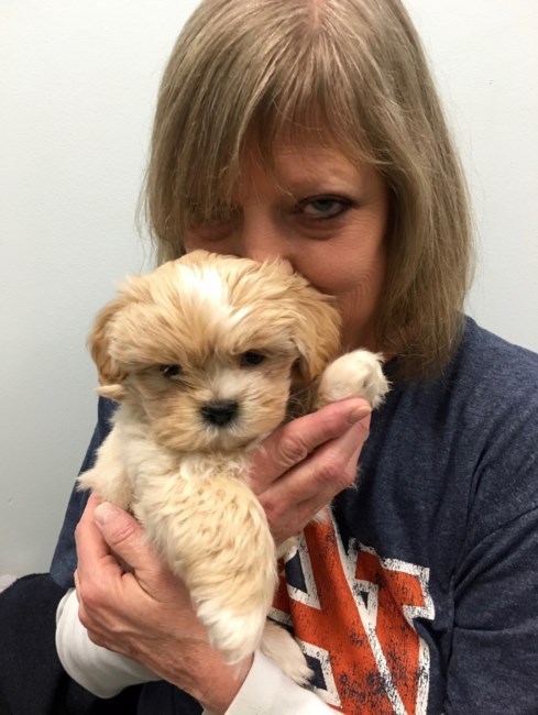 Obituary of Virginia "Ginger" Slatsky Bransby