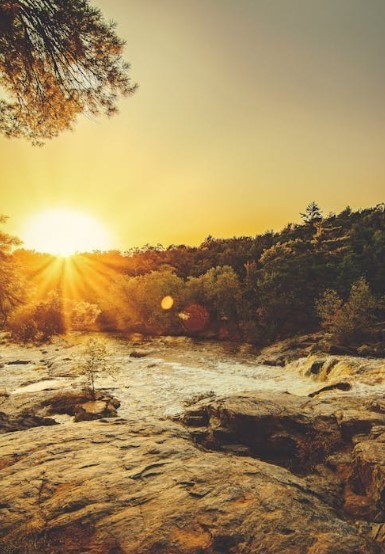 Obituario de Marian Elaine Cote