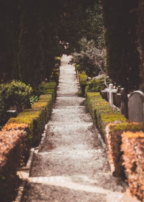Obituary of Larry Boyce