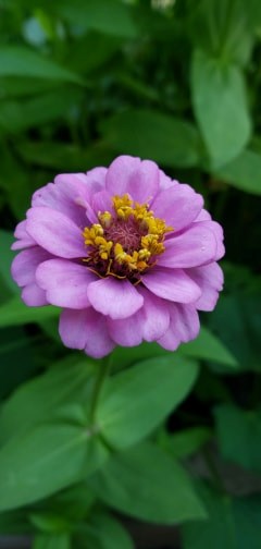 Obituary of Judith Kay Gibbs