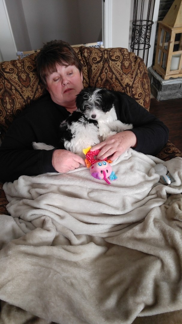 Obituary of Barbara Ann Hatfield