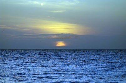 David Cradick Obituary - Arlington, TX