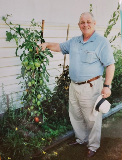 Obituary of Mirco Vanzo