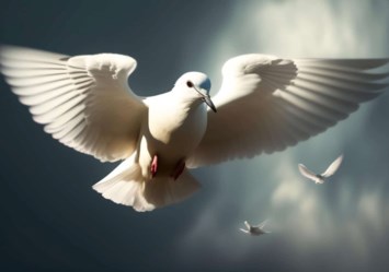 Obituary of Jeannette Landry