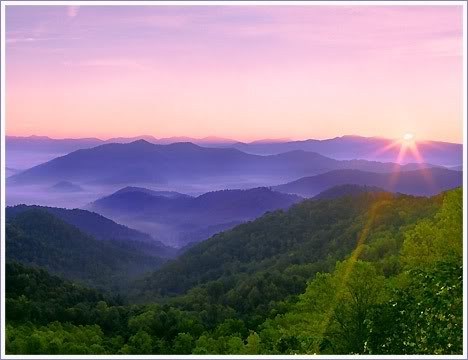 Obituary of Deborah "Debi" O'Neill