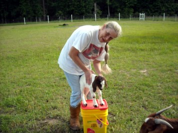Obituary of Beverly Lynn Lynn Hamilton Lawrence