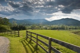 Obituary of Bernard Catterton Williams