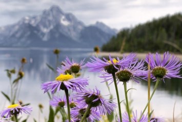 Obituario de Catherine Hatcher-Weller