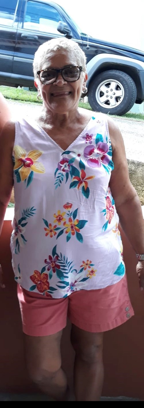 Obituary of Migdalia Rosado Febus