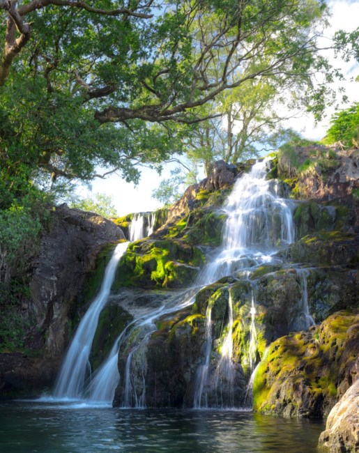 Obituary of Tommy Vargas