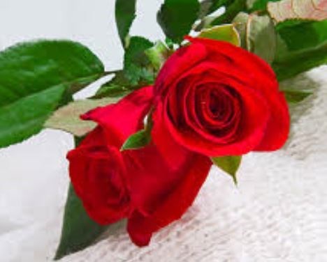 Obituary of Patricia Angella Tate Riddle