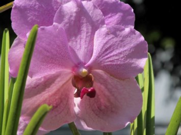 Obituary of Betty Margaret Stearns