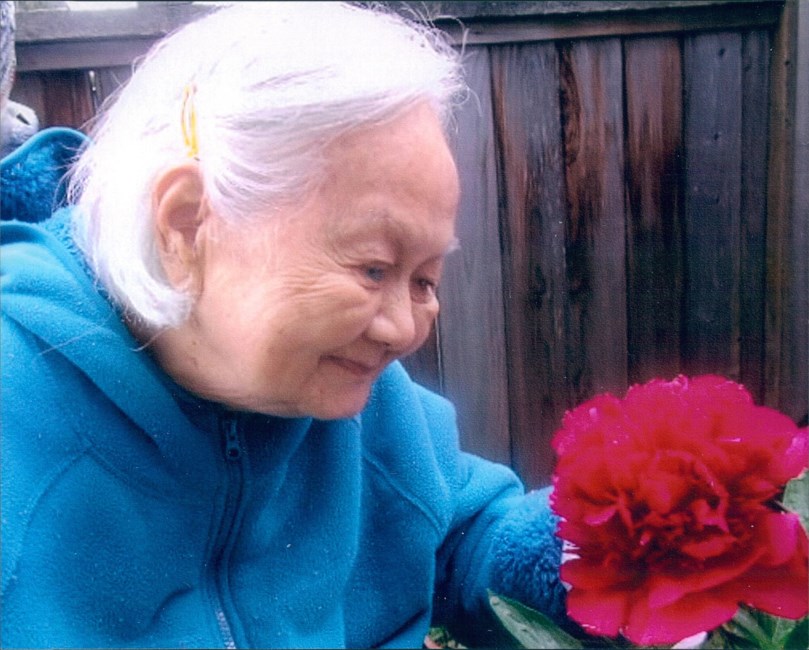 Obituary of Hue Phuong Ha