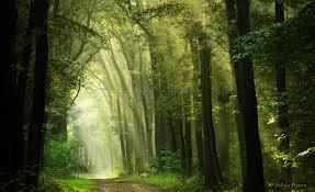 Obituary of Joseph Alexander Bardenheier III