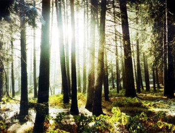 Obituary of Paul David Mason