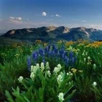 Obituary of Tracey Lynn Zollinger