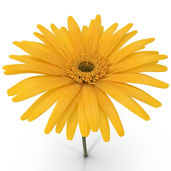 Obituary of Lois L. Winters